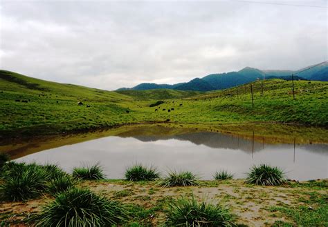 那曲在哪裏，深藏于高原藏地的神秘角落